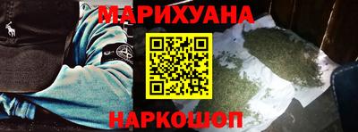 крисы Пенза