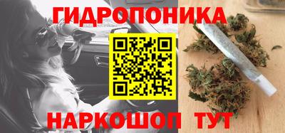 крисы Пенза