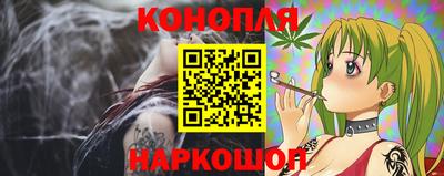 гидропоника Партизанск