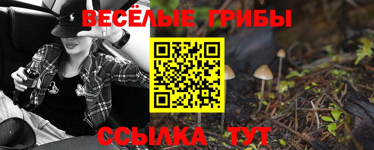 Псилоцибиновые грибы прущие грибы Мариинск