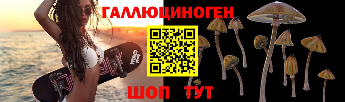 Псилоцибиновые грибы Psilocybine cubensis  Псилоцибиновые грибы Psilocybine cubensis  Вход с VPN  Мариинск 